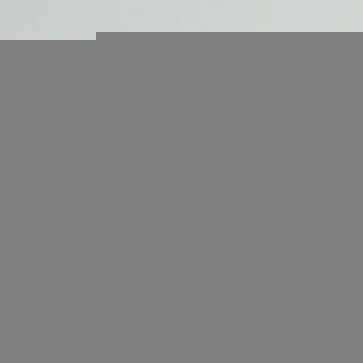 5.05ct E-VVS2 IGI Certified Oval Shape